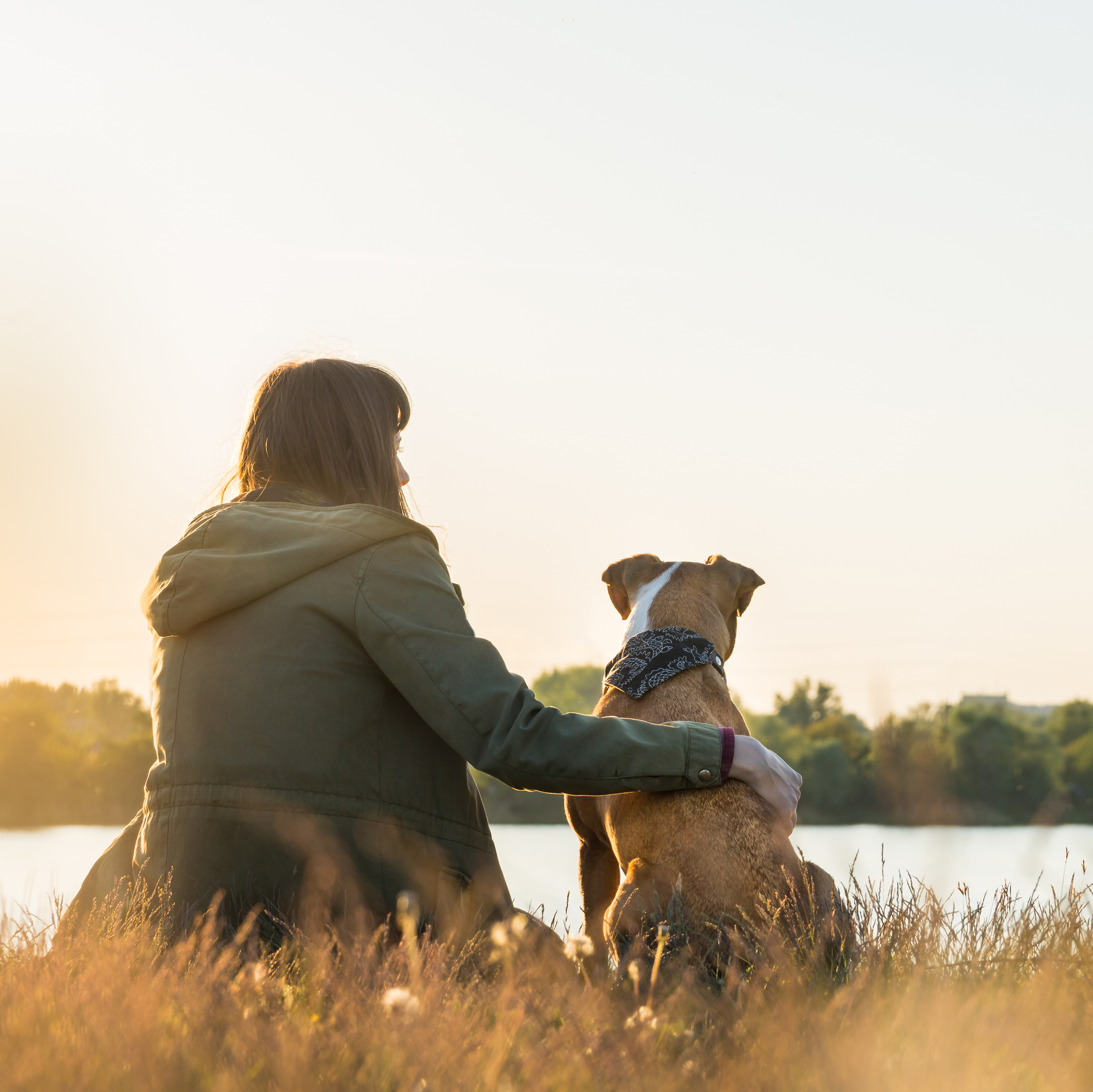 Pet Cremation Services